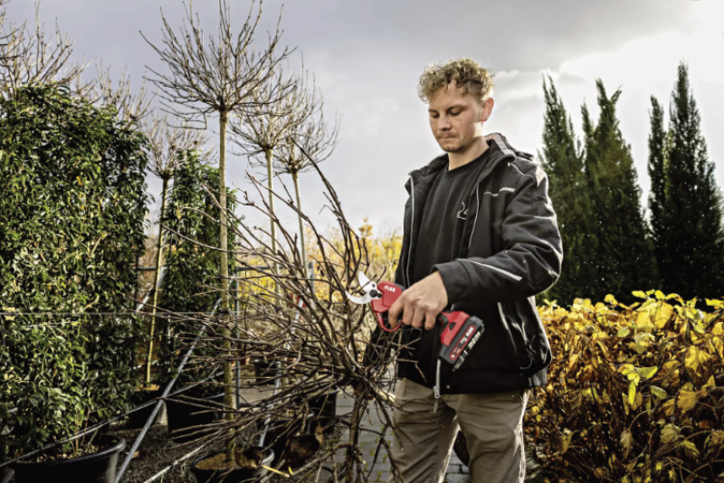 Flex 18V Akku Gartenschere SET